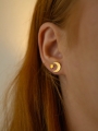 DSC02493.jpg