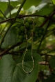 DSC_6943.jpg